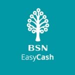 BSN EasyCash